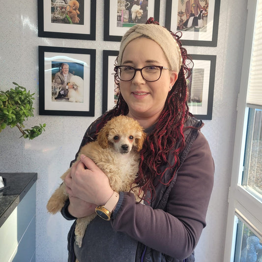 20 Years in Dogs: Why I Created Paw Naturel