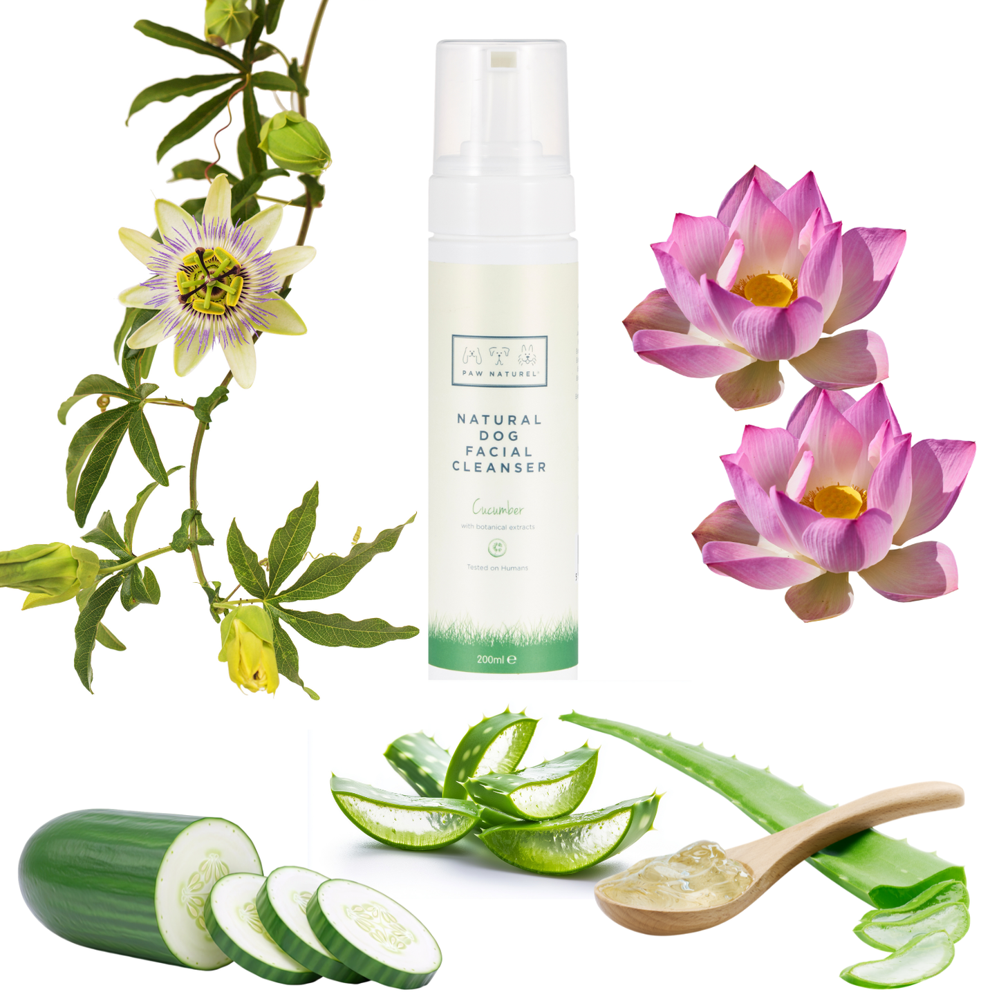 Paw Naturel Natural leave in Cucumber Facial Cleanser 200ml