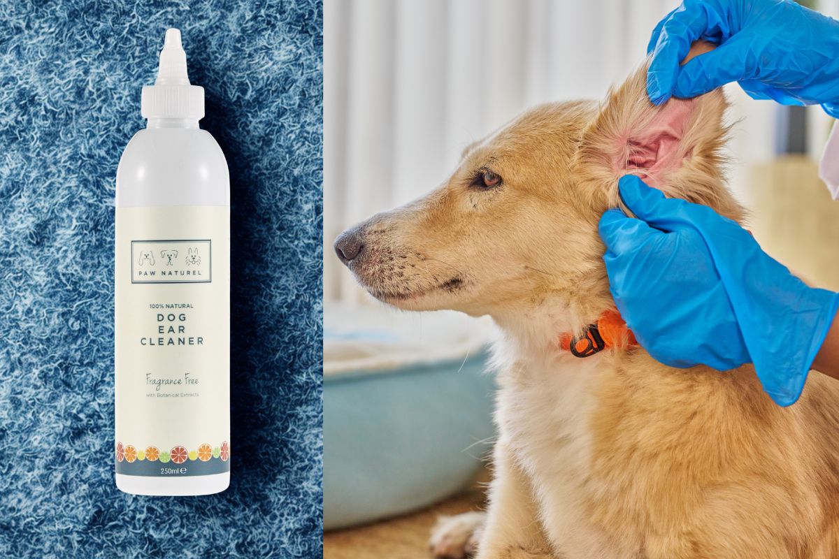Fragrance-Free Natural Dog Ear Cleaner 250ml | Paw Naturel