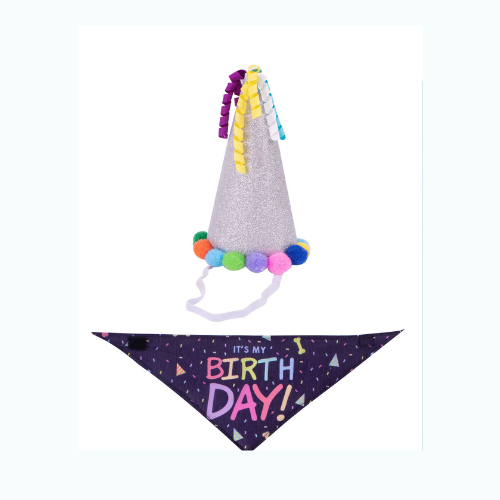 Party Hat and Bandana set