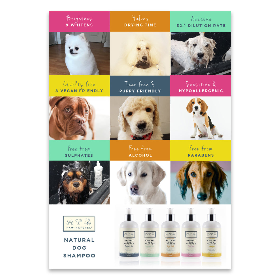 Paw Naturel Point Of Sale A3 Poster